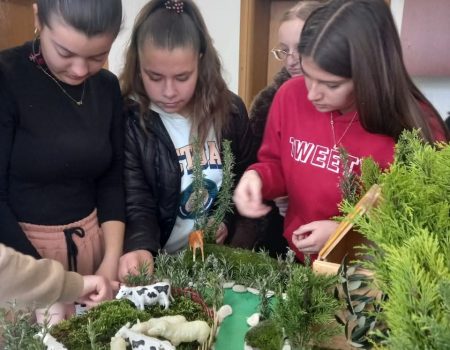 WhatsApp Image 2025-09-10 at 21.20.45